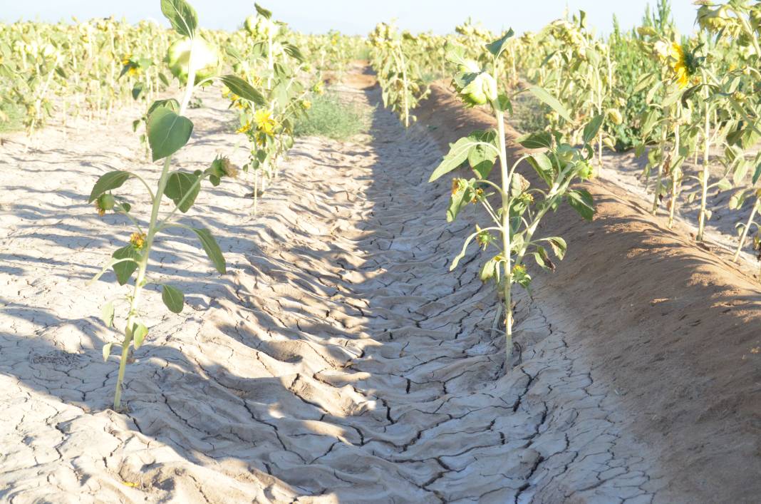 Yer altından fışkıran suyun sırrı çözüldü! Konya Ovası tehlikede 10